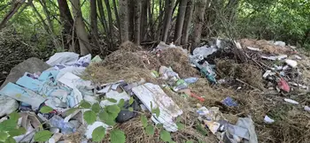 Divje odlagališče na Bledu – izjema, ne pravilo 