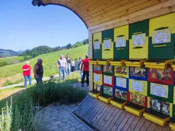 Obisk čebelarjev ČD Sveta Ana pri Lenartu v Slovenskih Goricah.