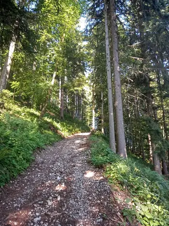 PD na Uršlji gori 13.7.2025