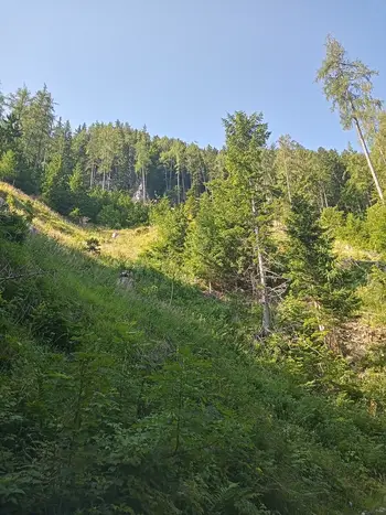 PD na Uršlji gori 13.7.2025
