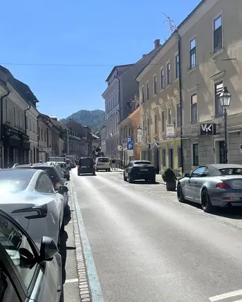 Gosposka ulica bo bolj zelena in dostopnejša z javnim prevozom
