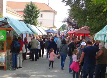 Jubilejni, 30. MIHAELOV SEJEM