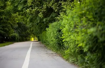 Skrbimo za varnost otrok na poti v šolo in vrtec