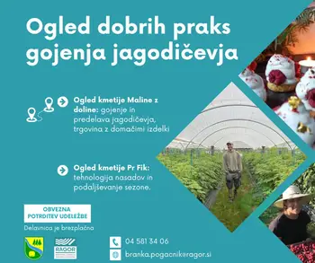 Ogled dobrih praks gojenja jagodičevja