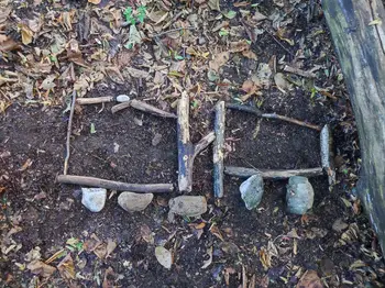 Gozdna slika: Avto s prikolico