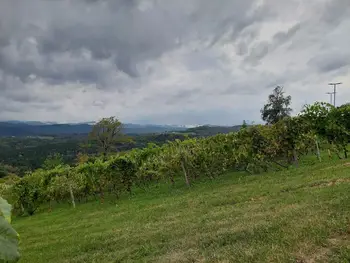 GOBARJENJE PO LIŠKI GORI