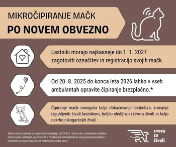ČIPIRANJE MAČK PO NOVEM OBVEZNO - ZA ENKRAT BREZPLAČNO