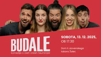 Budale, komedija