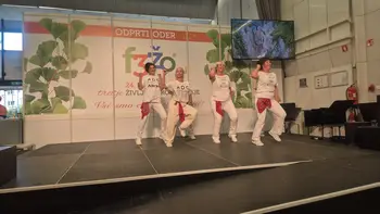 Plesna skupina Ajda znova nastopila v Cankarjevem domu