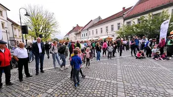 Vabljeni na javno predstavitev Smernic za upravljanje mestnega jedra Novega mesta