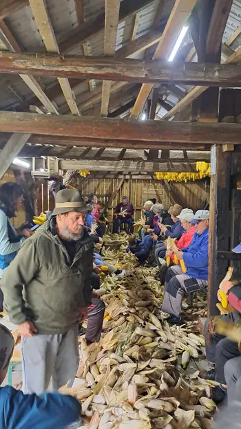 16. kožuhanje na Erčevi žagi