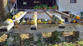 BUČNI STRAH PRI VEDRINOVCIH USPEL Z ODLIČNIM OBISKOM 