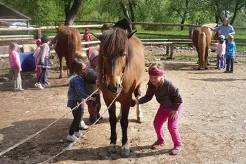 Ranč Mrcina – program za otroke