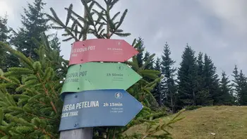 Mladi planinci na poti po Golteh