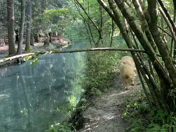 Rezultati fotografskega natečaja Pojdimo na sprehod
