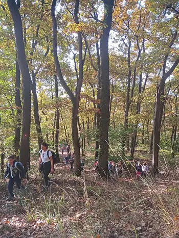 Mladi planinci na Gori Oljki 11.10.2025