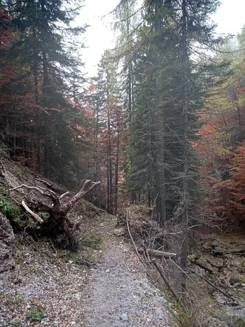 Planinsko društvo na Trupejevem poldnu 19.10.2025