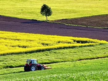 Škoda na kmetijskih pridelkih zaradi suše v letu 2025