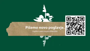 Bled 2045: sooblikujte strategijo turizma na Bledu