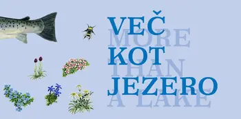 Brati gore - VEČ KOT JEZERO: več kot razstava, več kot časopis
