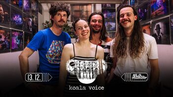 Koala Voice