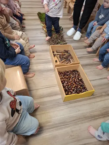 Odkrivanje jesenskih lepot gozda z najmlajšimi otroki v vrtcu
