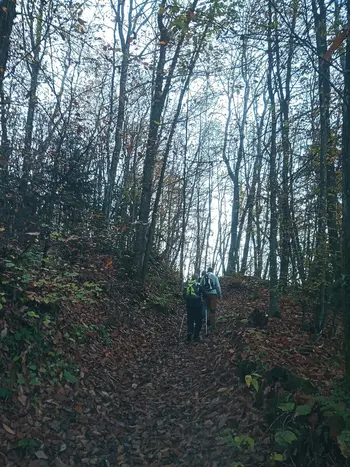 PD na Trdinovem vrhu 9.11.2025