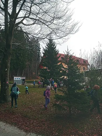 Mladi planinci PD na Čemšeniški planini 15.11.2025
