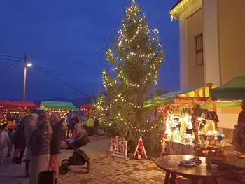 Adventna tržnica z domačimi ponudniki in ponudnicami