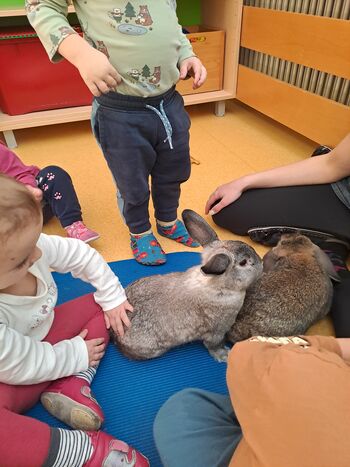 ŽIVALI NA OBISKU PRI NAS 