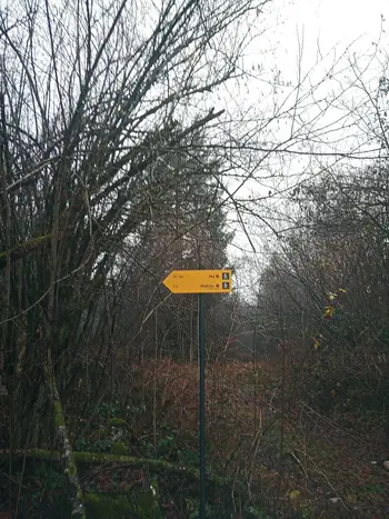 Veterani PD na Rudnici 3.12.2025