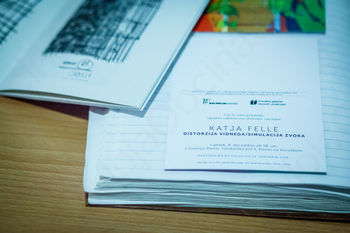 Katja Felle: Distorzija vidnega/Simulacija zvoka v Galeriji Ravne