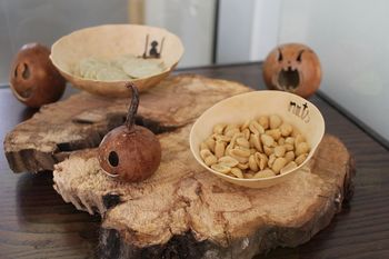 Buče Mr. Clumsy na razstavi v občinski stavbi