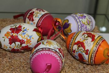 Pirhi ostajajo v občinski stavbi