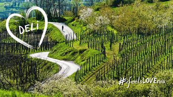 Povejmo vsem, kako lepa in drugačna je Vipavska dolina!