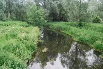 Vzdrževanje površin ob vodotokih
