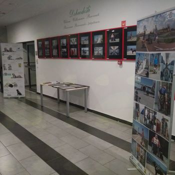 Fotografska razstava – Darko Novak