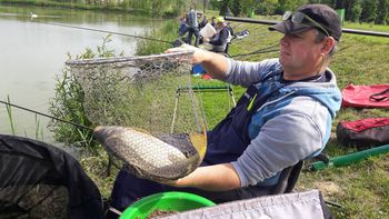 Korošci pa znajo ribe lovit'!