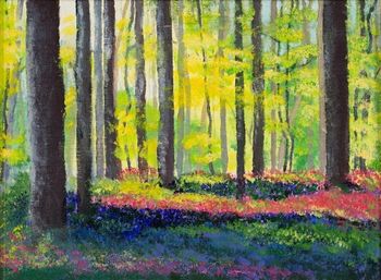 Otvoritev razstave "PODOBE NARAVE IN VOLJE DUHA"