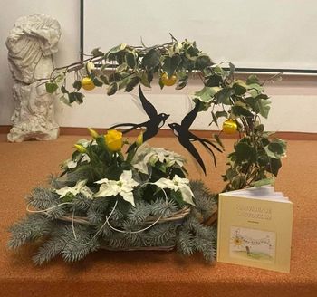 NASVIDENJE LASTOVKAM