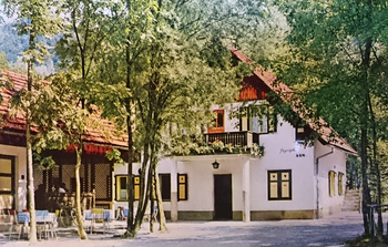 Posek okoli gostilne Pograjski dom