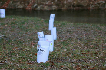 Spuščanje gregorčkov v Božno