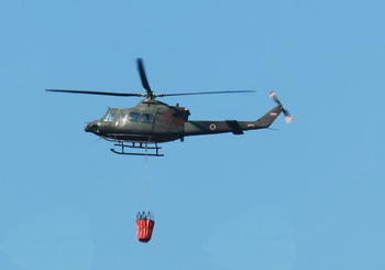 Gozdni požar na severnem pobočju polhograjske gore