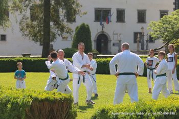 Karateisti trenirajo telo in duha
