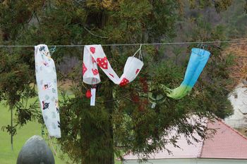 Močan veter odkrival strehe