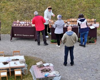 Izmenjava semen in sadik v parku polhograjske graščine