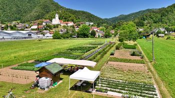 10. obletnica Dežele zelišč