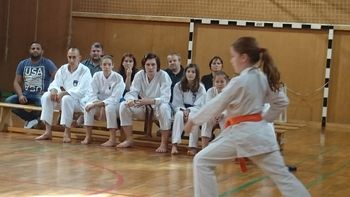 Karateisti iz Dupleka so ob koncu sezone in šolskega leta uspešno opravili izpite za šolske pasove