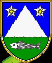 Najava Javnega razpisa za sofinanciranje humanitarnih in invalidskih dejavnosti v občini Kobarid za leto 2018