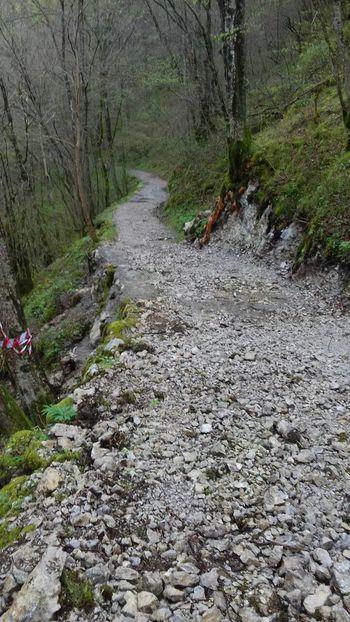 Pešpot proti slapu Kozjak je odprta